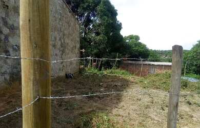 Imagem 5: Terreno em cabucu