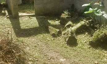 Imagem 3: Oportunidade de chácara 1000 metros em Suzano com escritura