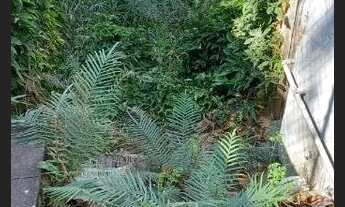 Imagem 5: Casa a venda no Jaguaré