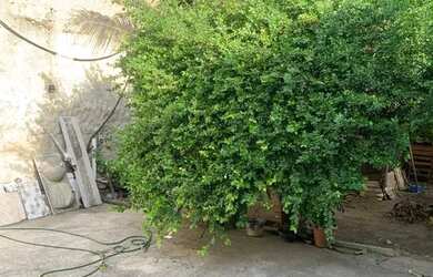 Imagem 7: Casa em Vila Rosário