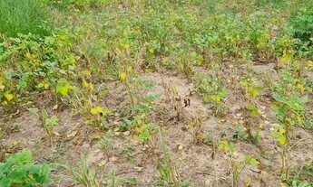 Imagem 5: Fazenda Santa Clara em Itapuã