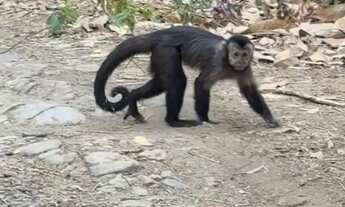 Imagem 5: Terreno em Campo Grande RJ centro