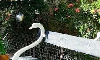 Imagem 4: Casa com 3 quartos, suite em Ponta Negra. Excelente!