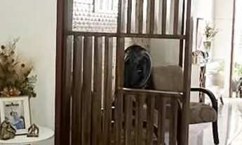 Imagem 3: Monte Castelo Casa com 2 dormitórios