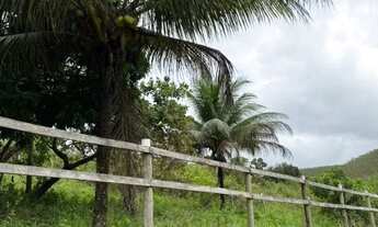 Imagem 2: Sítio para Venda em Flexeiras, Zona Rural, 3 dormitórios, 1 banheiro