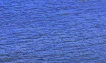 Imagem: Magnífico apartamento em prédio na areia