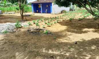 Imagem 6: Sítio em Taquarana AL