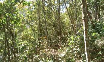 Imagem 6: Super lote pe na agua represa e acesso cachoeira 80 mil reais