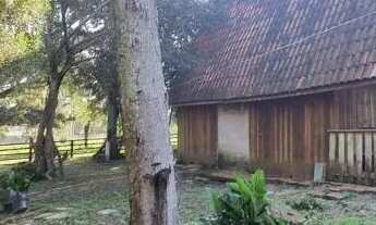 Imagem: Velleda oferece lindo sítio 6700m², figueira