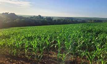 Imagem 3: Chacara, área de terra, sítio em Cafelândia