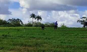 Imagem 5: Chácara em Abadia de Goiás