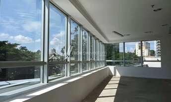 Imagem: Sala - Cambuí - Campinas