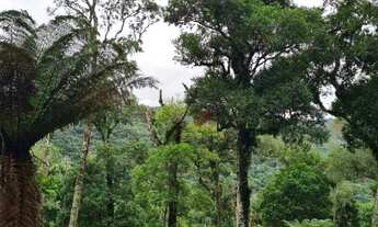 Imagem 2: Terreno em São Francisco de Paula!