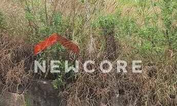 Imagem 5: Lote em Alameda Serra da Cantareira - Canjica (Terra Preta) - Mairiporã/SP