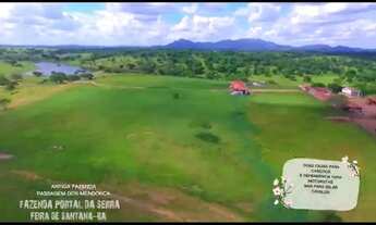 Imagem 3: Fazenda para Venda em Feira de Santana, Área Rural de Feira de Santana, 7 dormitórios, 7 s