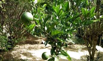 Imagem 3: Chácara em Rua José Ruiz Martins - Mogi das Cruzes - Mogi das Cruzes/SP