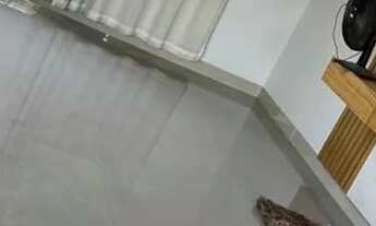 Imagem 7: Chácara 3.53ha Chácara com venda por R$900.000