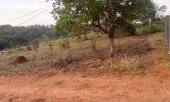 Imagem: Lote 1000 metros