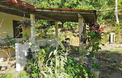 Imagem 2: Vendo pequeno sítio em Nazaré das farinha