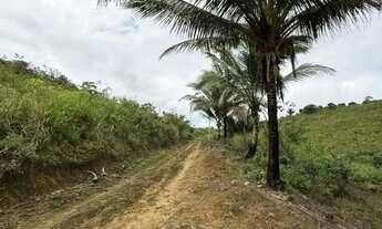 Imagem 6: Sítio para Venda em Flexeiras, Zona Rural, 3 dormitórios, 1 banheiro