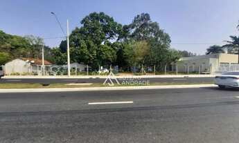 Imagem: Oportunidade para investidores em São José