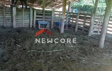 Imagem 6: Chácara em Santa Lúcia - Centro - Santa Lúcia/PR