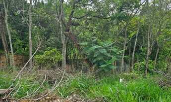 Imagem 7: Vendo excelente chácara de 1.500 metros quadrados a 7km do centro de Betim