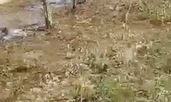 Imagem: Terreno no Magalhães, em frente ao clube