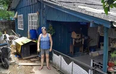 Imagem: Doa-se casa de madeira para ser retirada