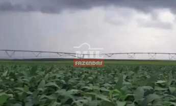 Imagem 4: IFazenda 15.000 hectares - Itiquira (MT