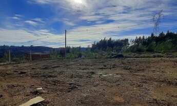 Imagem 2: CAXIAS DO SUL - Terreno Padrão - DIAMANTINO
