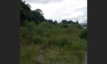 Imagem 6: CAXIAS DO SUL - Terreno Padrão - FORQUETA