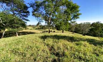 Imagem 5: Chácara em Rubiataba-go 5,4 alqueires