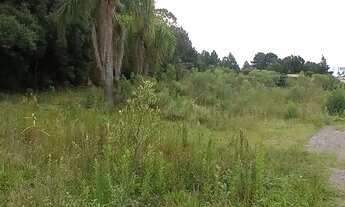 Imagem 4: CAXIAS DO SUL - Terreno Padrão - FORQUETA