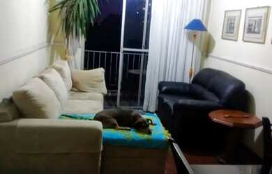 Imagem 2: Apartamento 3 quartos- Vila Sônia