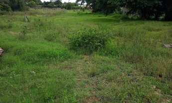 Imagem 5: Excelente chácara na cidade