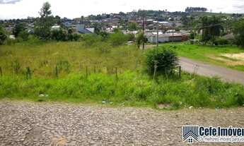 Imagem 3: Terreno para Venda em Sapiranga, Oeste