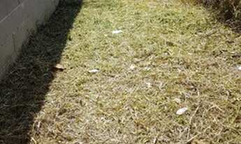 Imagem 5: Terreno Terreno / lote com venda por R$90.000