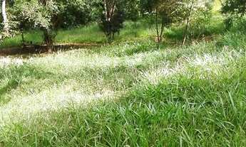 Imagem 6: BARãO DE COCAIS - Sítio - Zona Rural