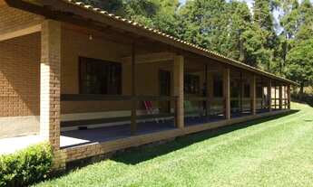 Imagem 6: São Lourenço da Serra - Chácara - Girassol