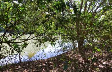 Imagem 7: Chácaras 20 mil Mt com rio das almas últimas unidades