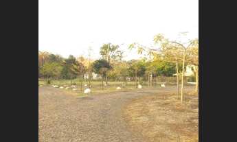 Imagem 5: IGARAPé - Terreno Padrão - Santa Mônica