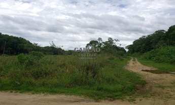 Imagem: 11- Terreno com 800 metros em rua asfaltada
