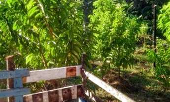 Imagem 5: Sitio Chácara com venda por R$40.000