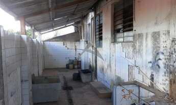 Imagem 2: Salão - Vila João Jorge - Campinas