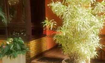 Imagem 3: Casa com 3 dorms, Piratininga, Niterói - R$ 2.73 mi, Cod: 3635