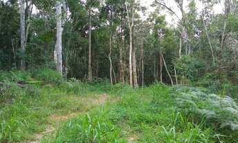 Imagem 2: São Lourenço da Serra - Terreno Padrão - Despésio
