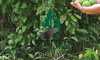 Imagem 7: EXCELENTE LOTE PARA CHÁCARA NO BAIRRO DO AGUDO