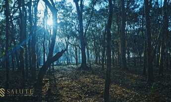 Imagem 5: CAMBORIú - Terreno Padrão - Distrito Rio do Meio