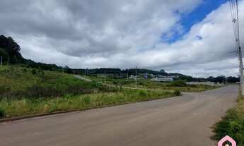Imagem 5: CAXIAS DO SUL - Terreno Padrão - Monte Bérico